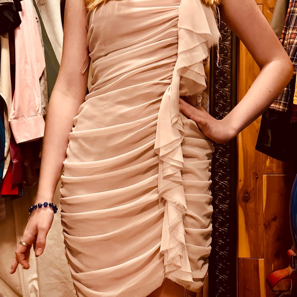 Express One Rosy Cream Dress